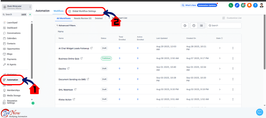 ggg-pause-workflow-01 ghl global pause workflows settings access