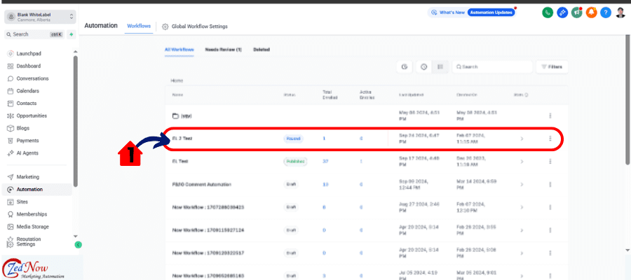 ggg-pause-workflow-03 ghl verifying Pause Workflow